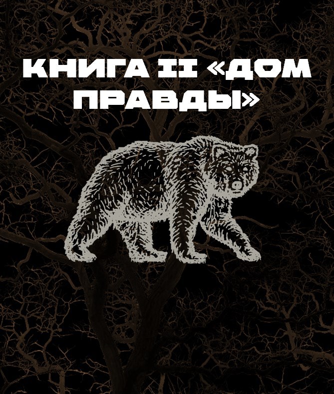 Обложка книги «КНИГА II: «ДОМ ПРАВДЫ»»