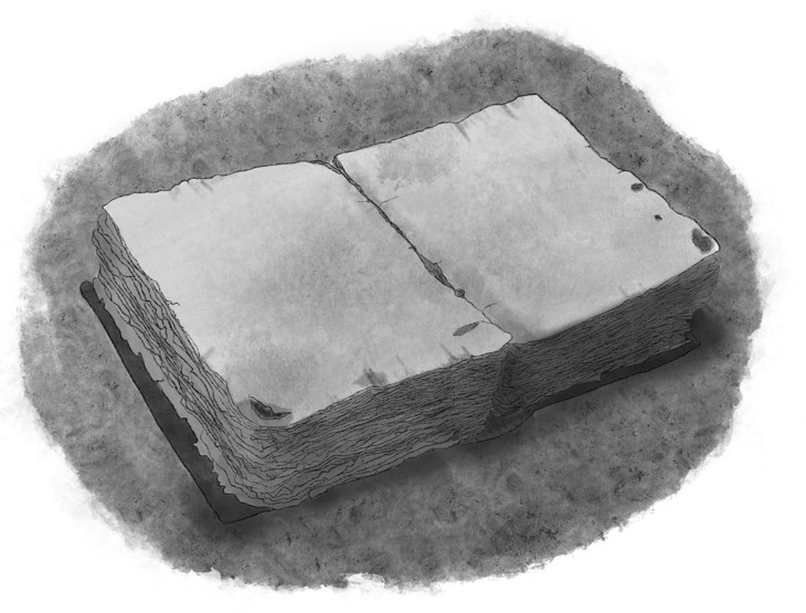 Иллюстрация