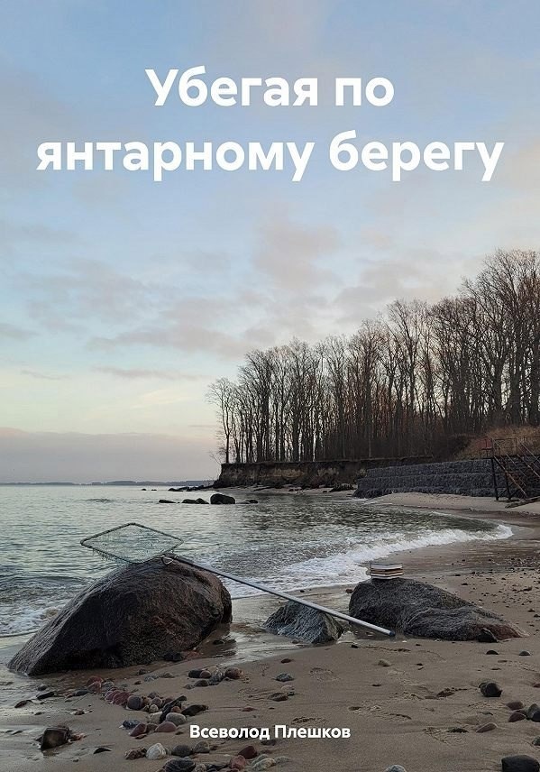 Обложка произведения Убегая по янтарному берегу