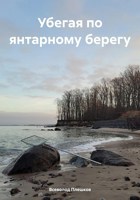 Обложка произведения Убегая по янтарному берегу