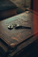 Обложка произведения Чемодан с отголосками