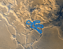 Ноктис в Лабиринтах Ночи