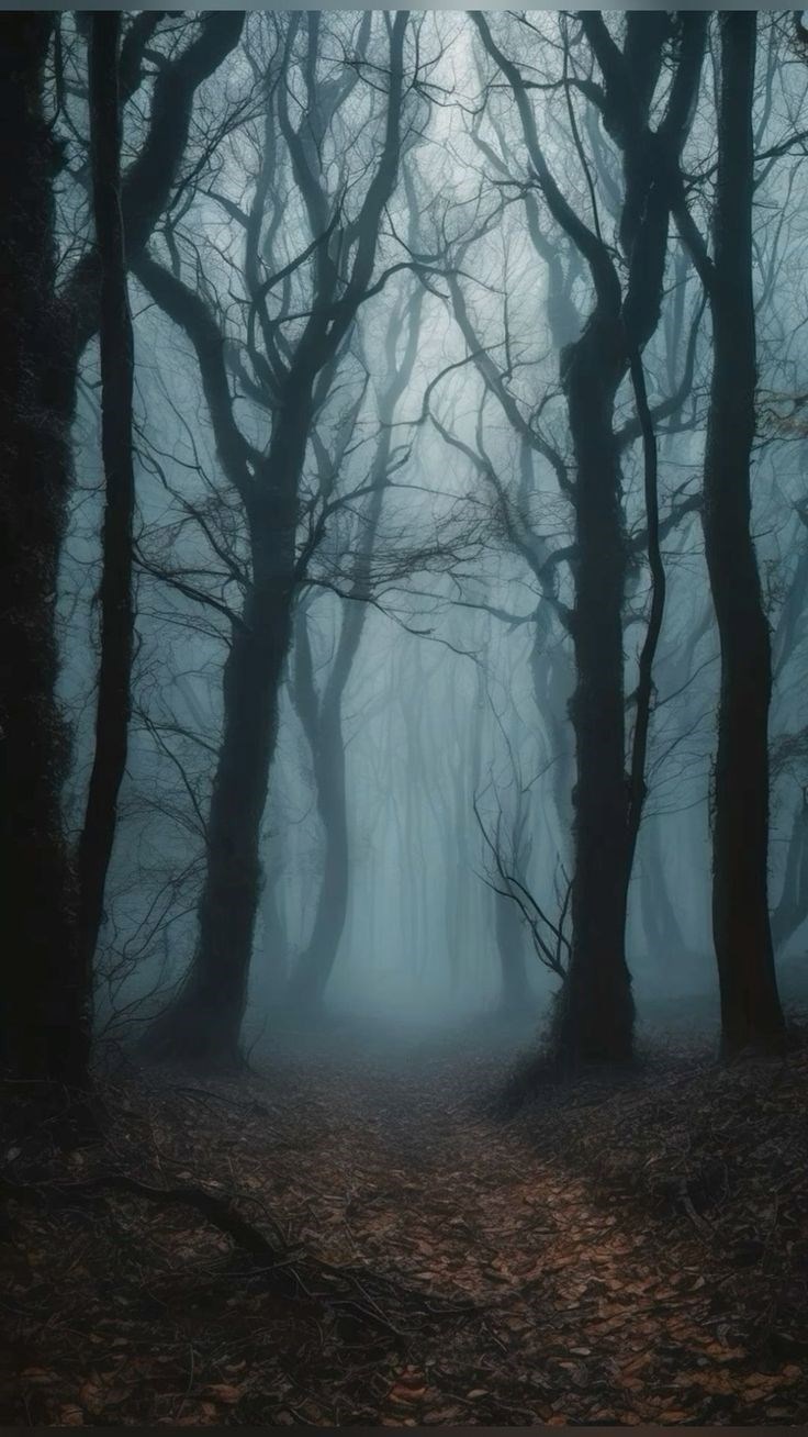 Обложка произведения Наследница Безмолвия