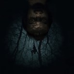 Обложка произведения Синдром ныряльщика