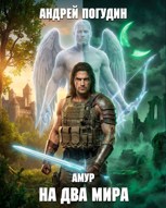 Обложка произведения Амур: на два мира