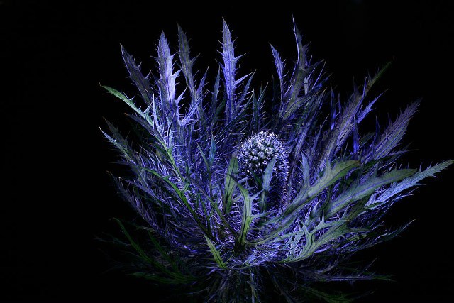 Обложка произведения Джорди