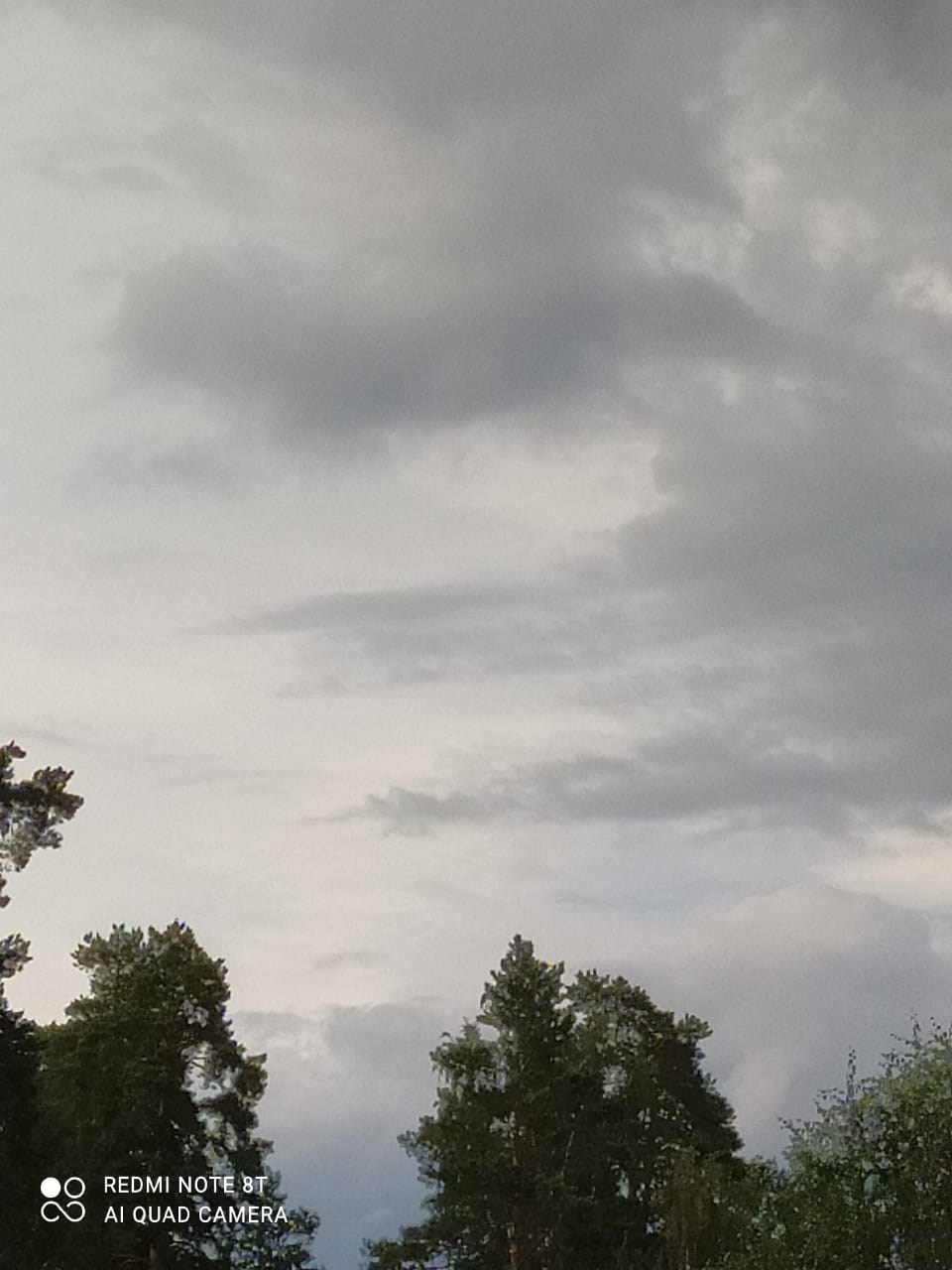 Обложка произведения Злоба внутри нас