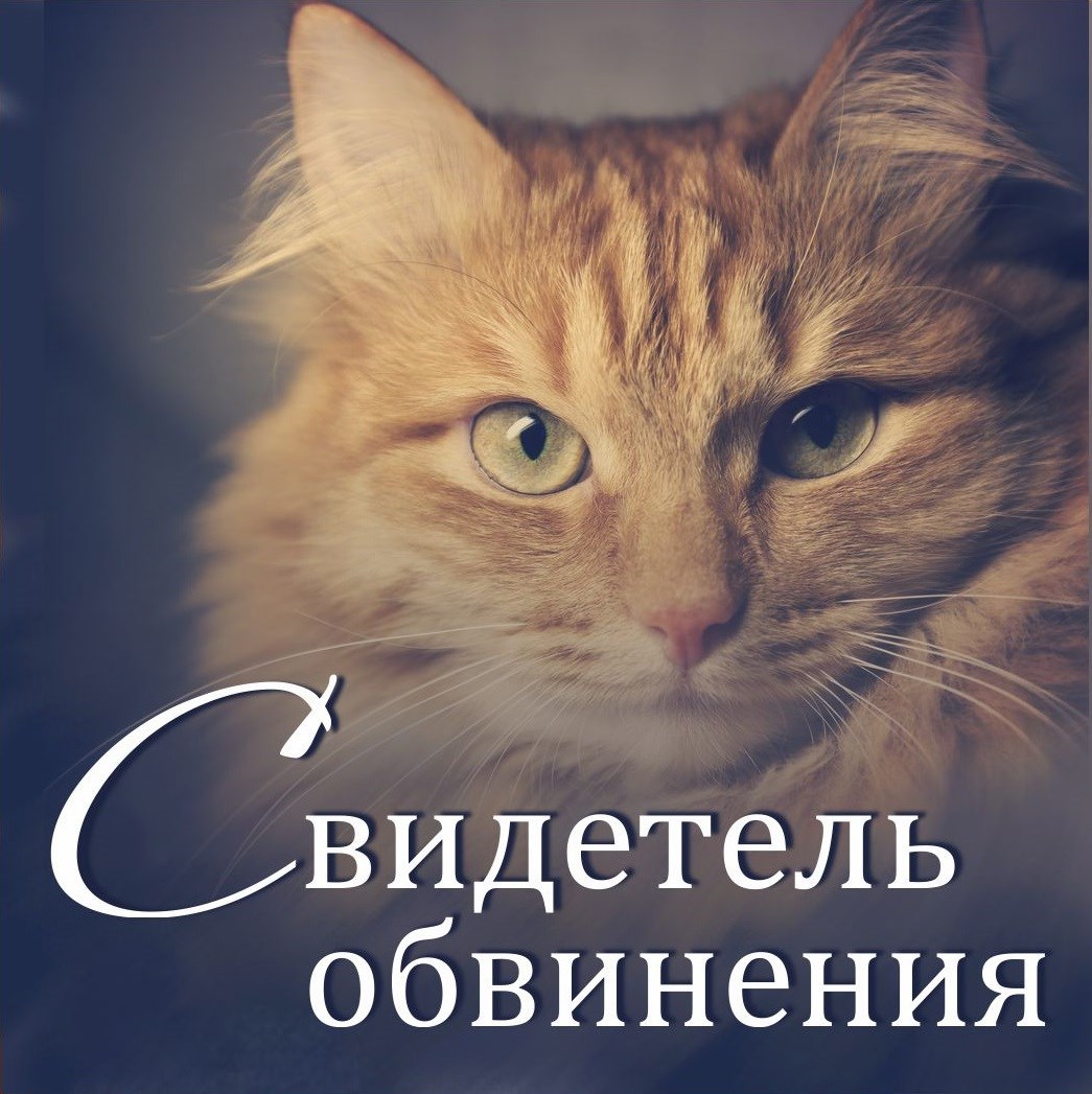 Обложка произведения Свидетель обвинения