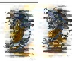 Примерный вид гг