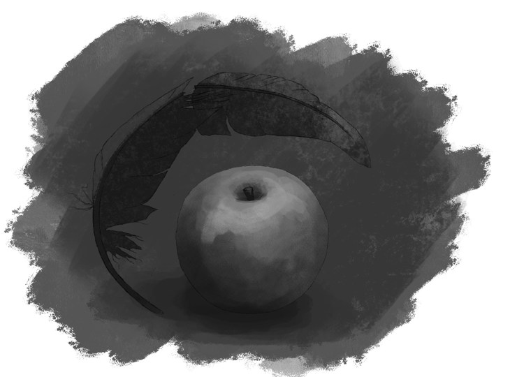 Иллюстрация