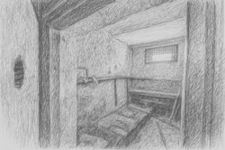 Камера была узкая, как...