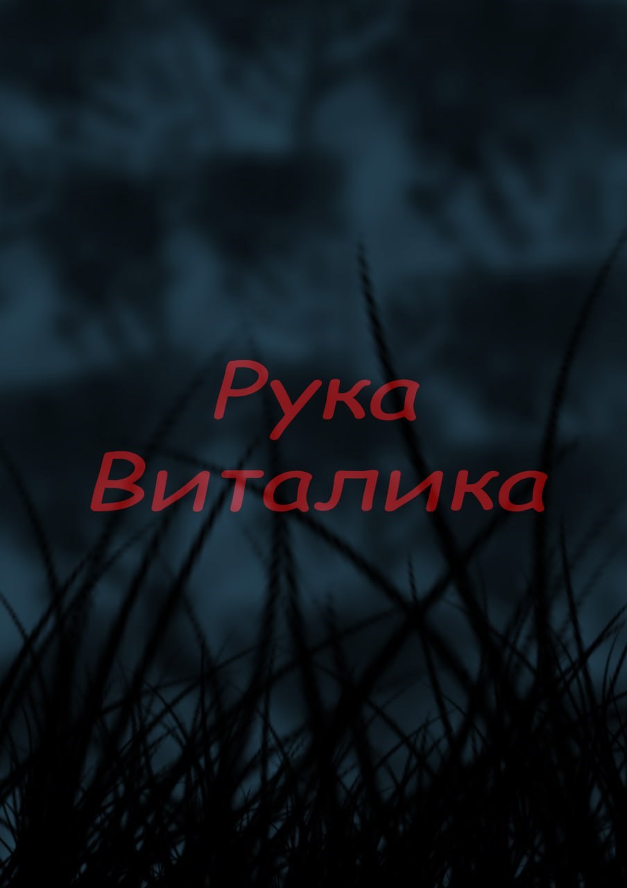 Обложка книги «Рука Виталика»