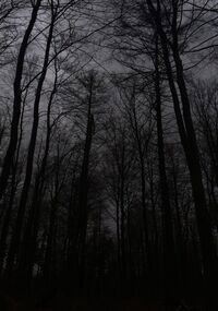 Обложка произведения Он жил один