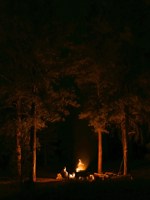 Обложка произведения Мельвия бежала по сухим листьям