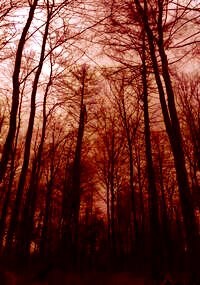 Обложка произведения Невыносимо. Две истории.