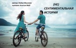 Обложка произведения (Не)сентиментальная история