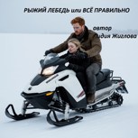 Обложка произведения Рыжий лебедь или всё правильно