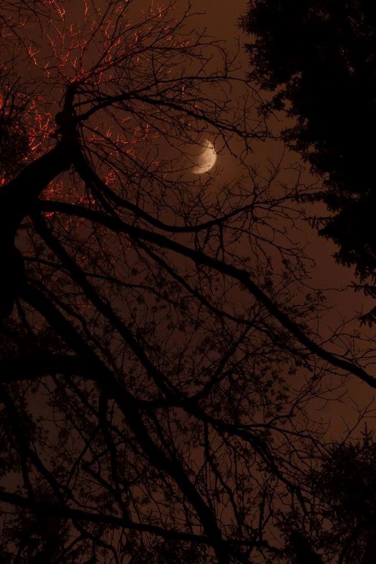 Обложка произведения Не оглядывайся