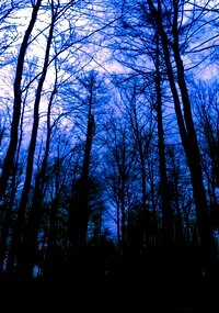 Обложка книги «Теперь уже навсегда.»