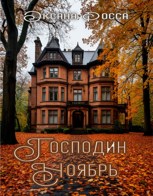 Обложка произведения Господин Ноябрь