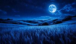 Отолон ночью