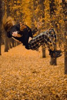 Обложка произведения Многоликий мастер: творческий путь Детермината