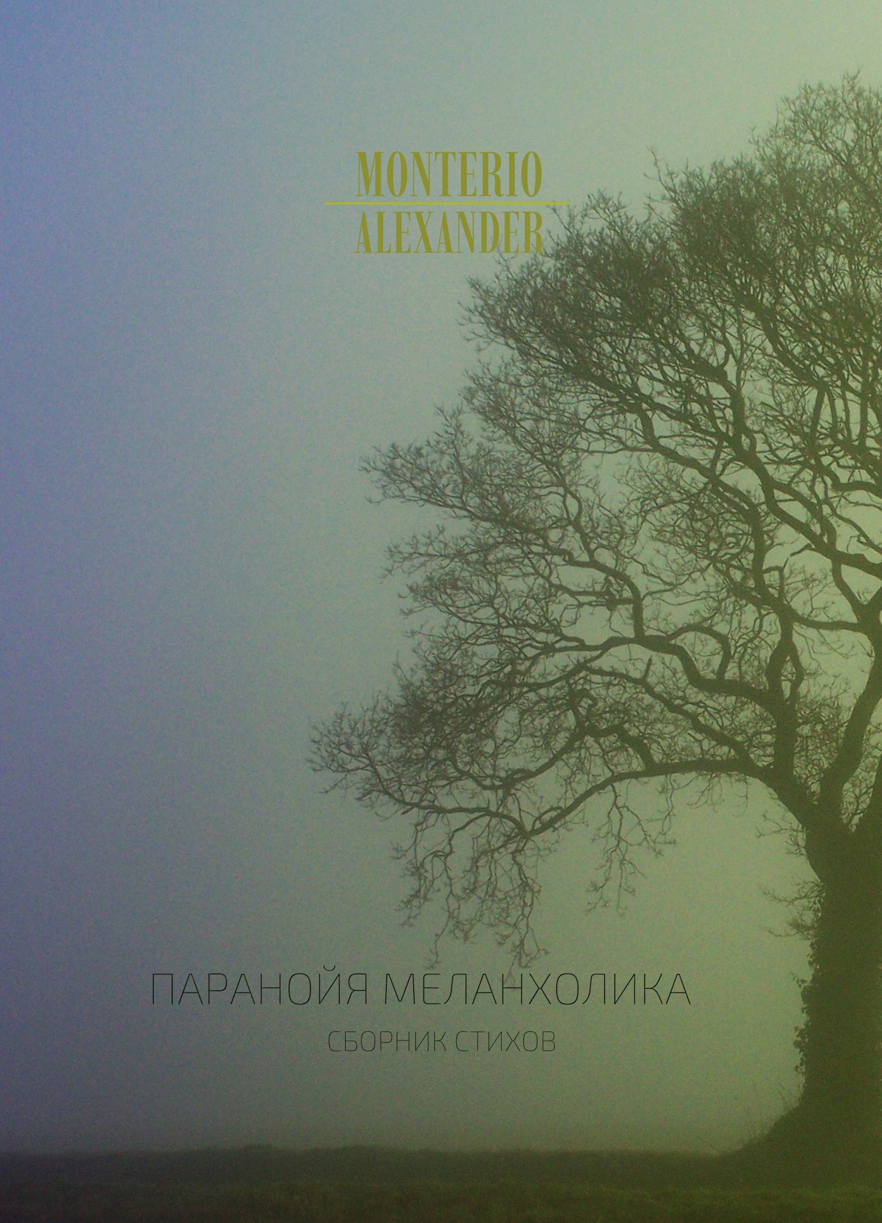 Обложка произведения Паранойя меланхолика