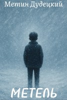 Обложка произведения Метель