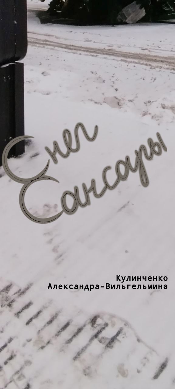 Обложка произведения Снег сансары