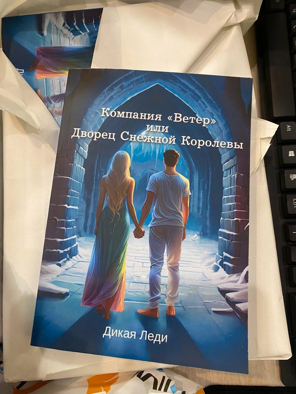 Обложка произведения Компания "Ветер" или Дворец Снежной Королевы