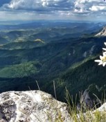 Обложка произведения У истока