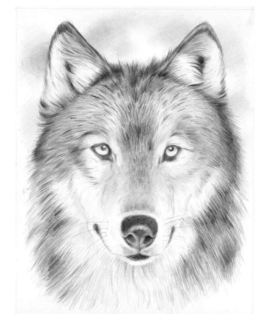 Обложка произведения Мой АХ.