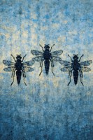 Обложка произведения Диагноз: жива! Отчёт от трёх патологоанатомов