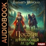 Обложка произведения Записки маленькой ведьмы. Книга 1. Пособие для начинающей ведьмы