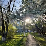 Обложка произведения Стихи