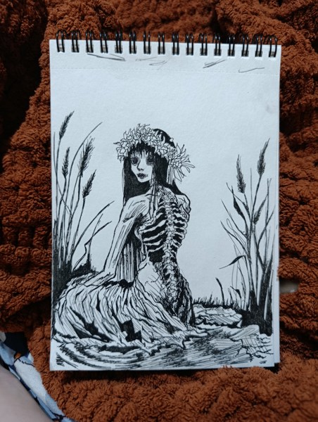 Иллюстрация