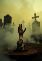 Обложка произведения Тени под Ельском