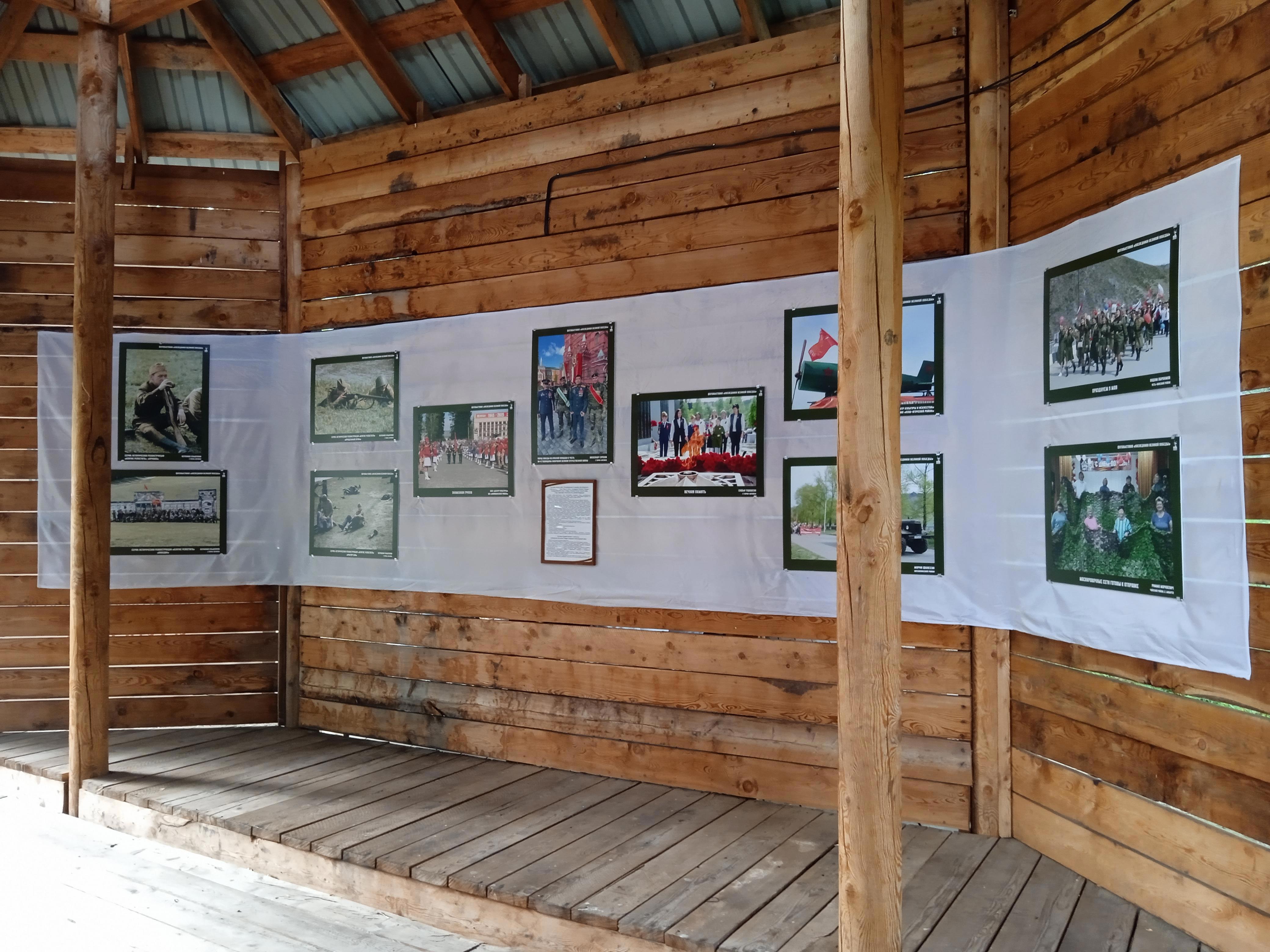 Тихие залы памяти: художественная летопись и фотовзгляд наследников - Виктор Агеев-Полторжицкий