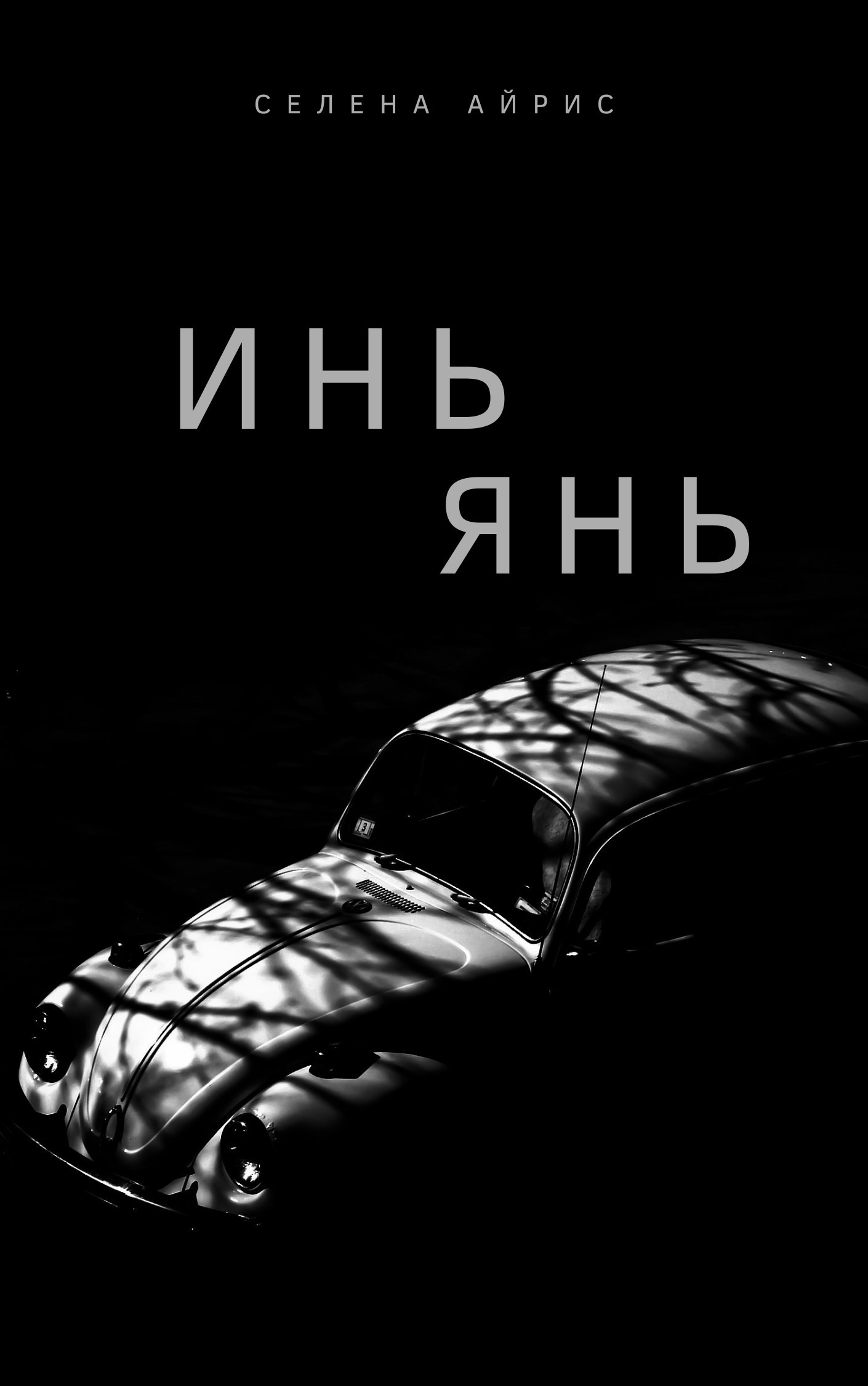 Обложка произведения Инь Янь