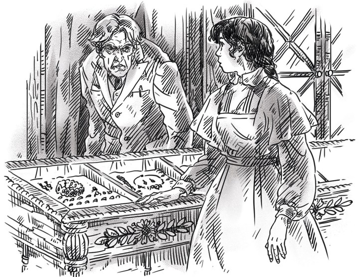 Иллюстрация