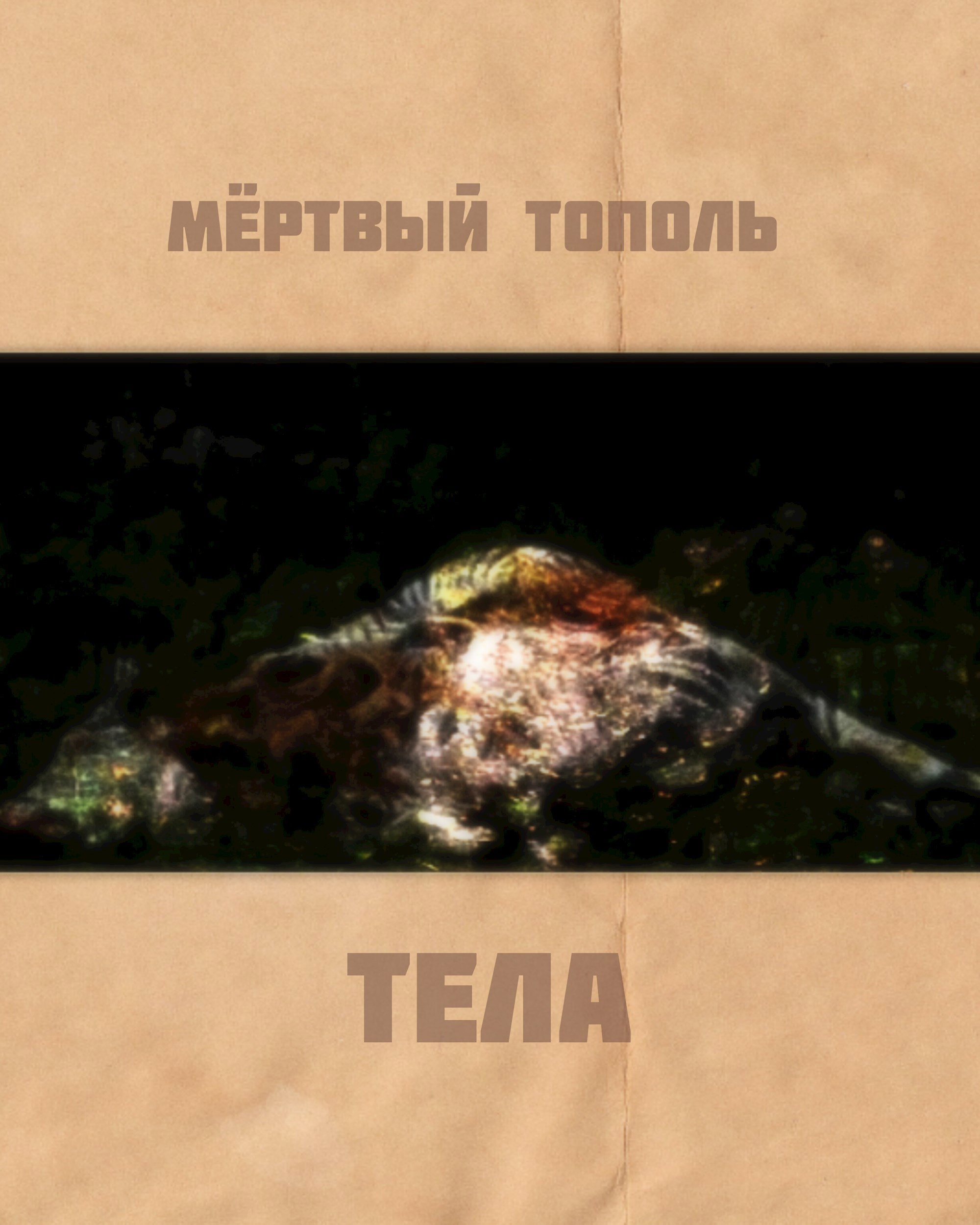 Обложка произведения Тела