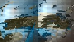 Челнок Эльфаров