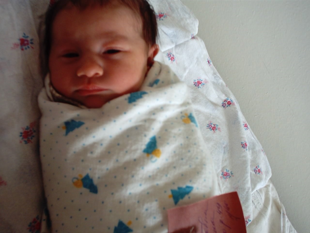 Обложка книги «Ода рождению Маринетт Мортем: начало великого пути»