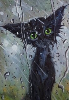 Обложка книги «Гроза и кошка»