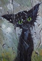 Обложка произведения Гроза и кошка