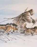 Обложка произведения « Утро в тайге. » Настоящая дружба глава 1.