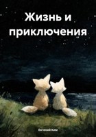 Обложка произведения Жизнь и приключения