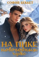 Обложка произведения На пике новогодних чудес