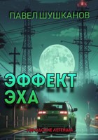Обложка произведения Эффект Эха