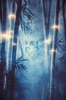 Обложка произведения Бамбуковые вышки цифрового леса